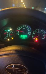 IMG_9973.jpeg